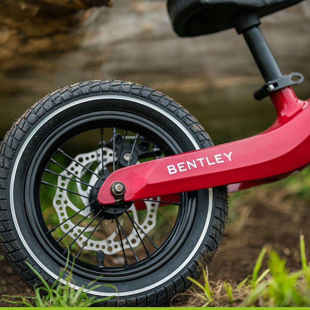 Red Bentley child's bicycle rear wheel and frame resting on green grass.