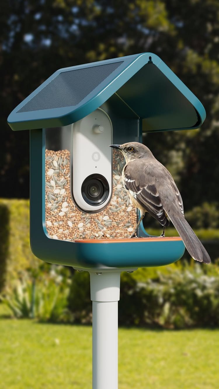 Smart bird feeder with camera and solar panel with a bird perched on it