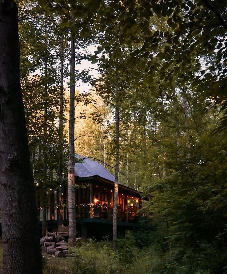 Wooden cabin with warm lights nestled among tall trees in a dense forest
