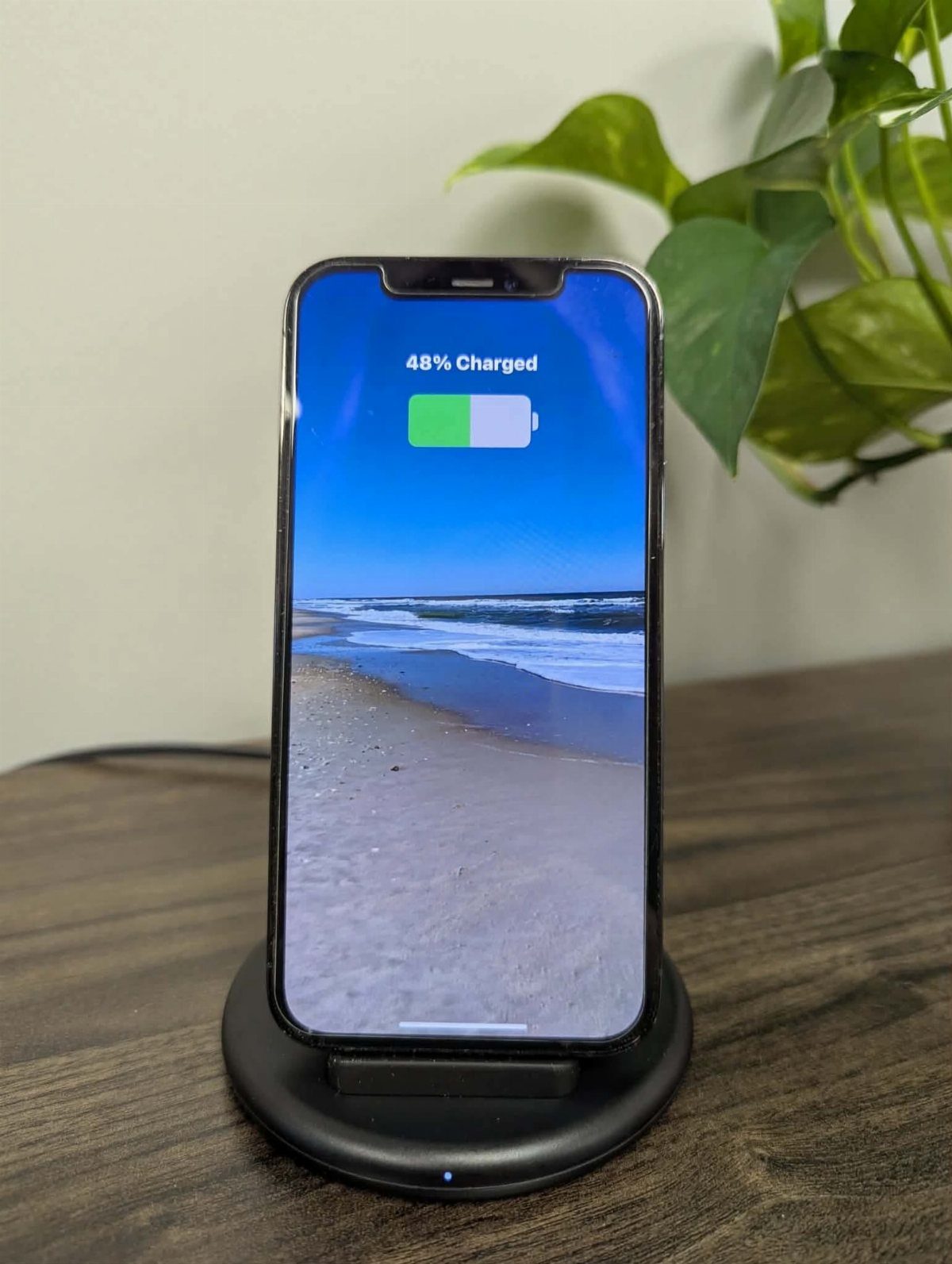 Smartphone on a black wireless charging stand on a wooden desk with a plant.