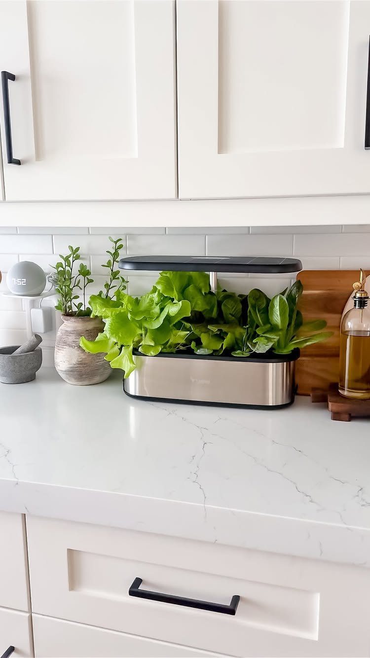 Smart indoor garden kit growing green herbs on a white marble kitchen counter