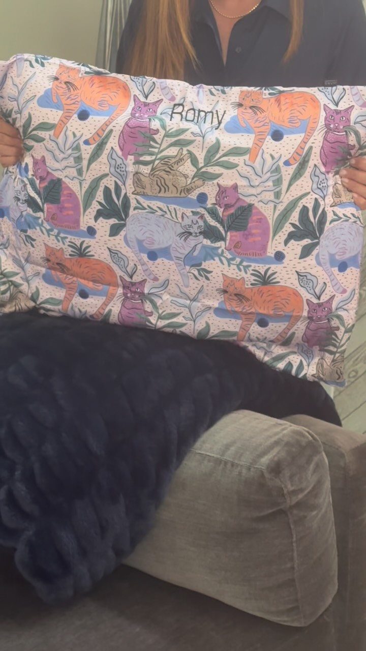Customized decorative pillow with colorful cats and the name Romy held by person