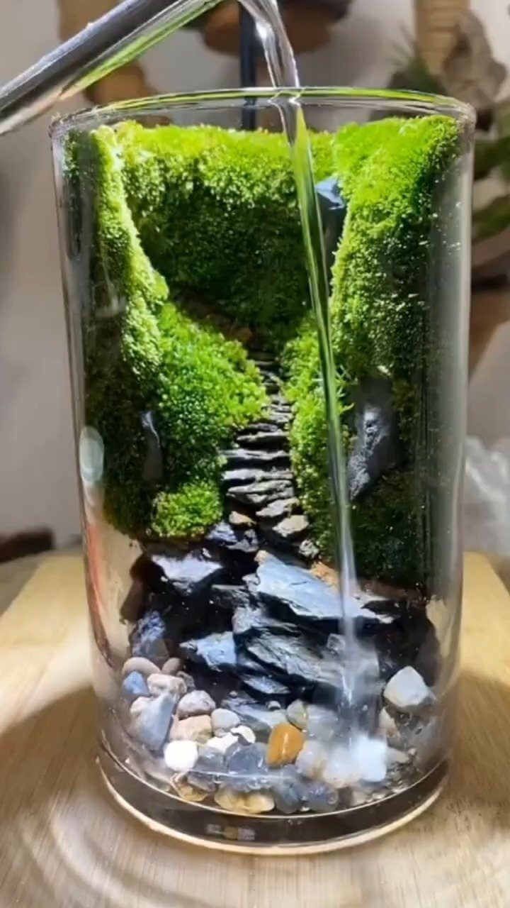 Miniature moss terrarium in a glass cylinder with a small stone path
