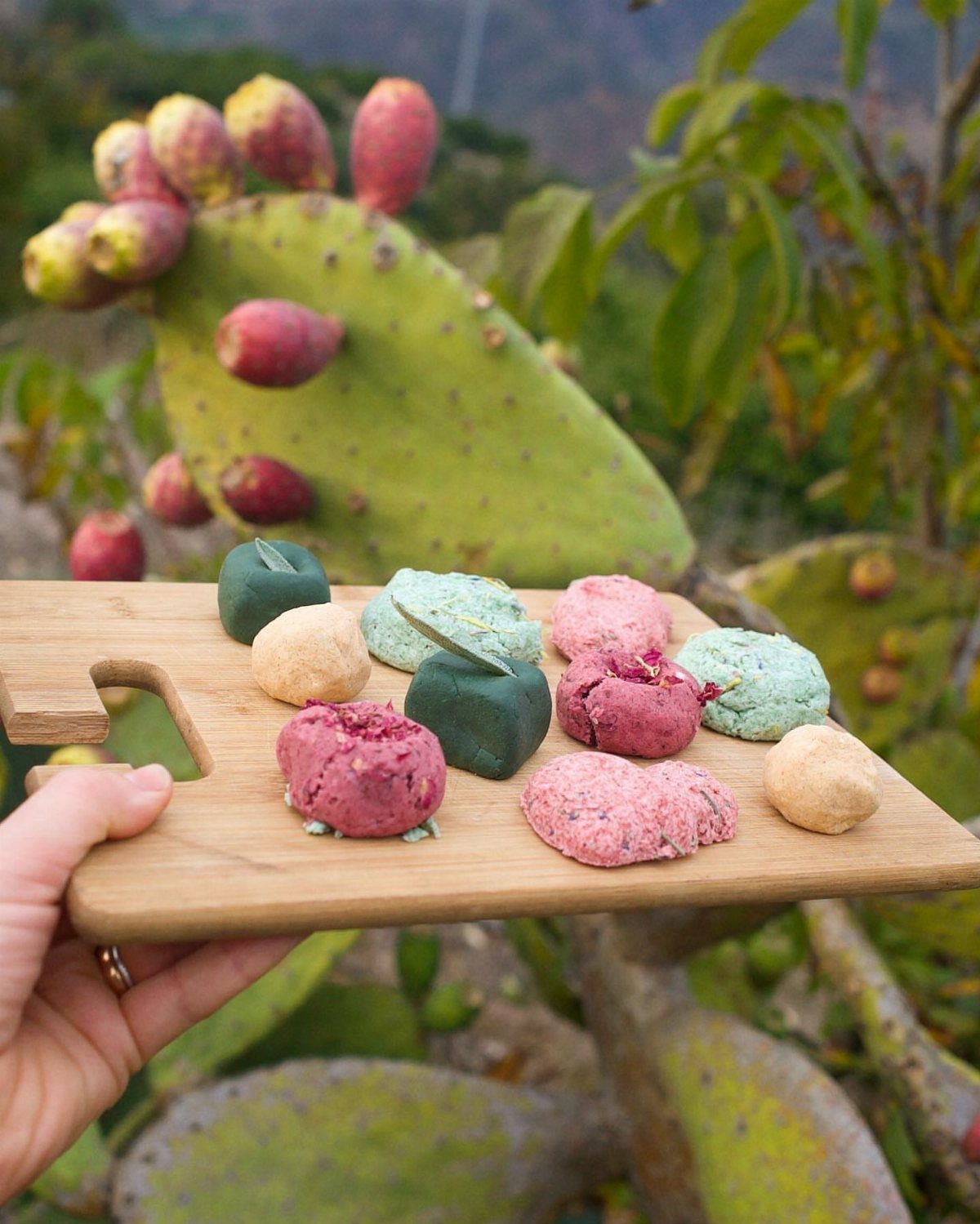 Colorful bath bombs on a wooden board held in front of a cactus.
