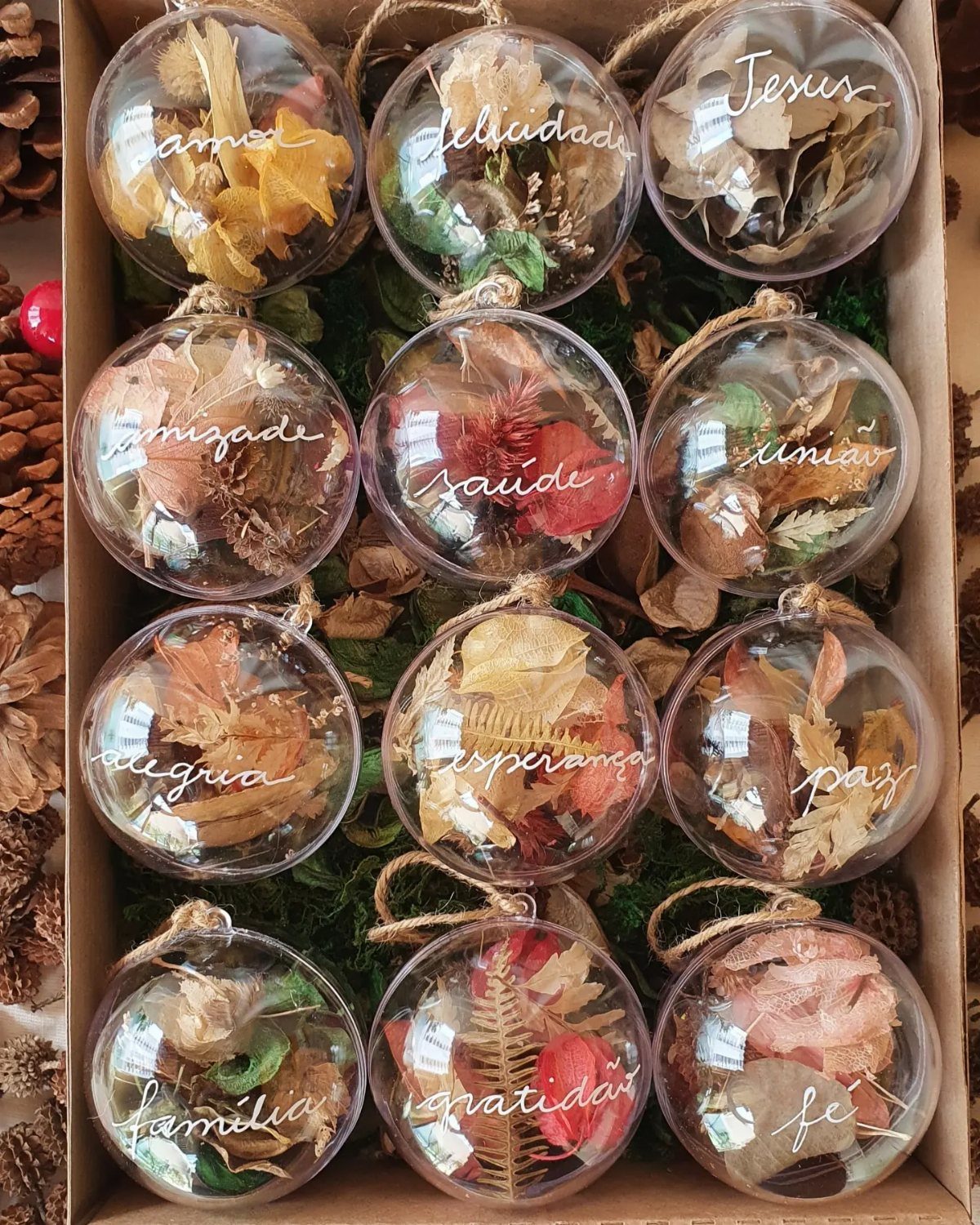 Clear spherical ornaments filled with dried leaves and handwritten words in a box.