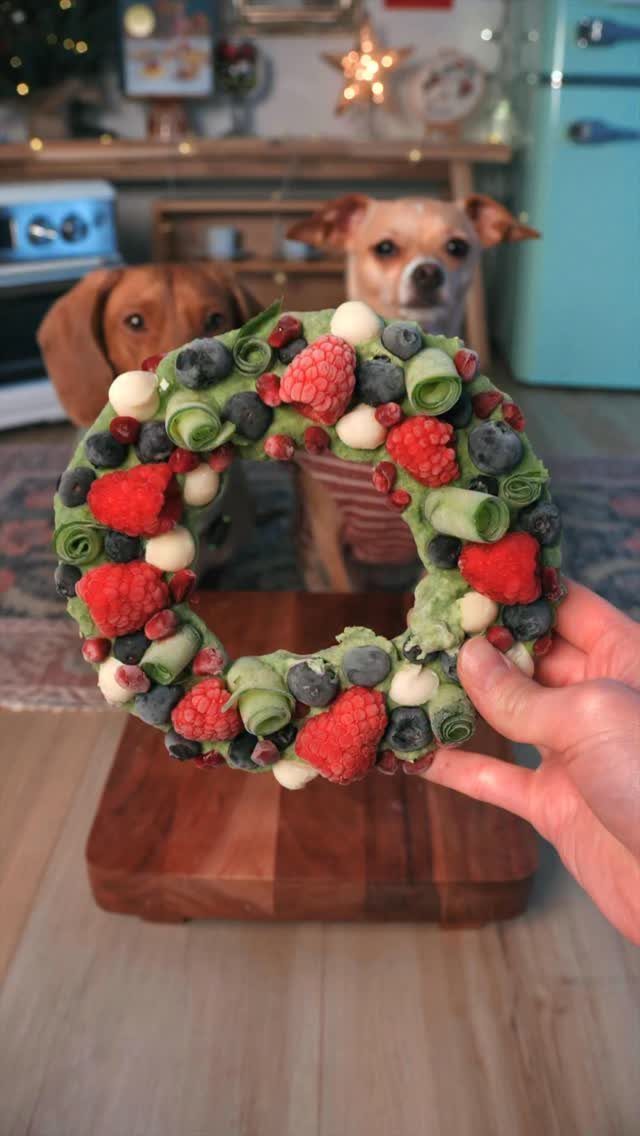 Cucumber and berry dog treat wreath held in front of two expectant dogs.