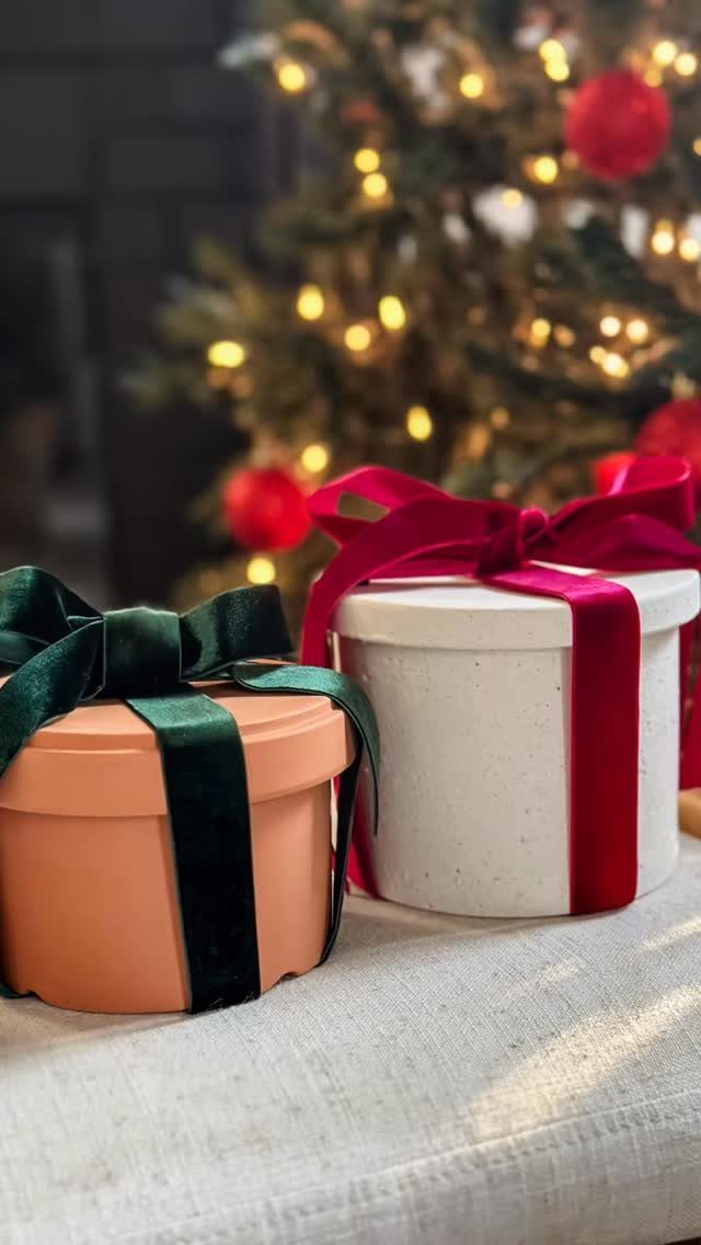 Terracotta and white ceramic plant pots wrapped with velvet ribbons near a Christmas tree.
