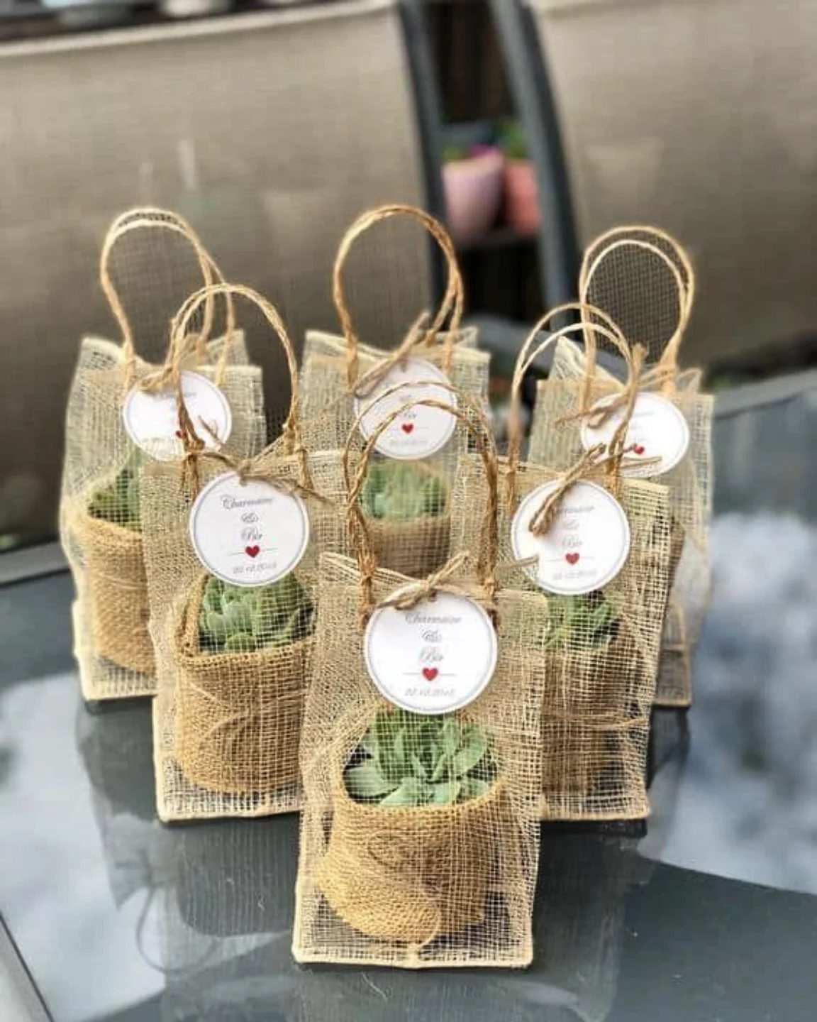 Small succulent plants in burlap bags with handles and white gift tags.