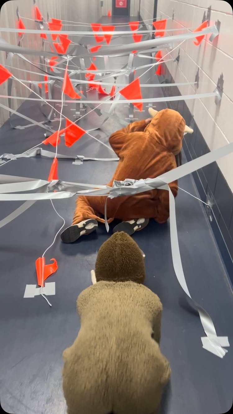 People in animal costumes crawling through a web of tape and orange flags.