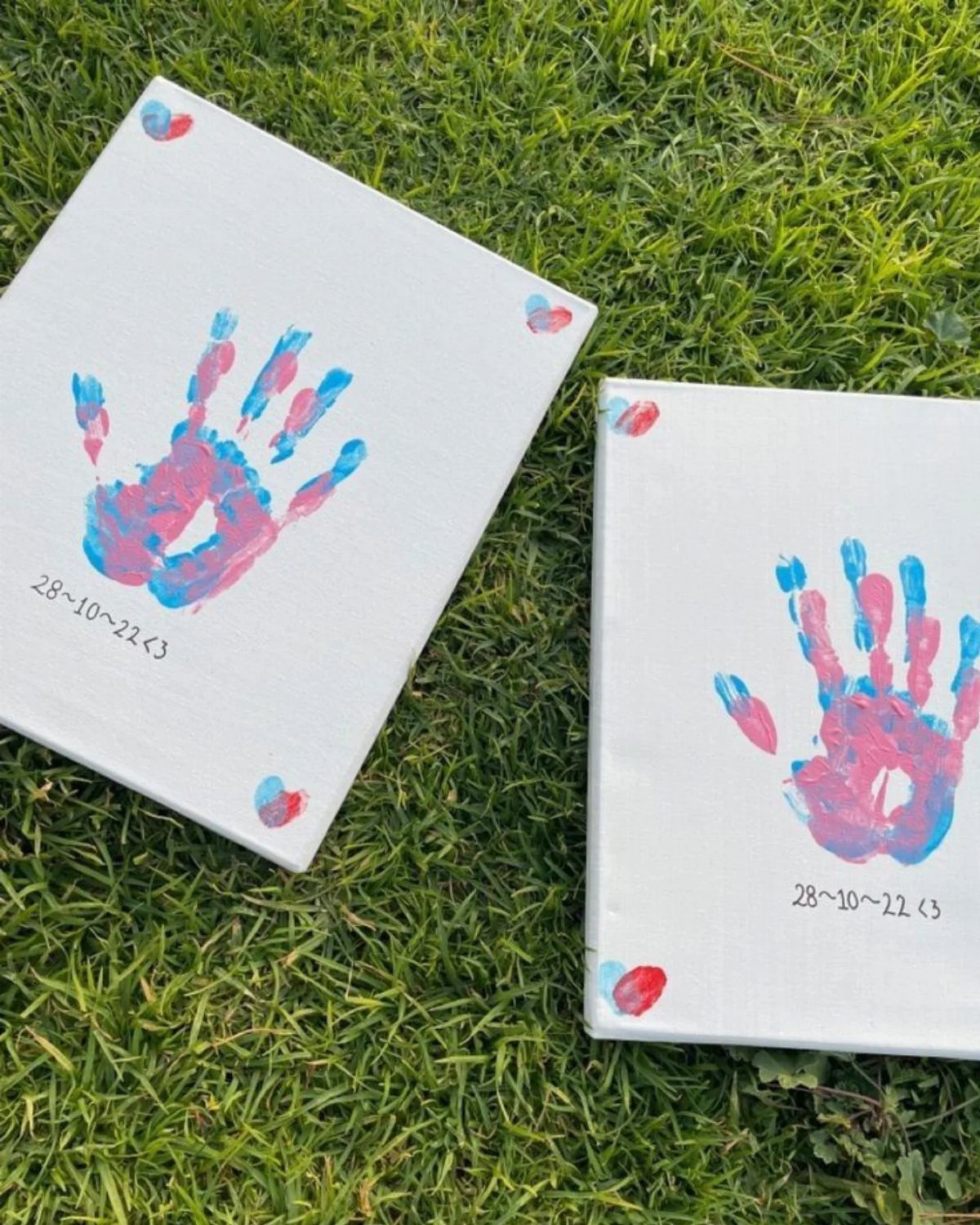 Two white canvases with pink and blue child handprints resting on green grass.