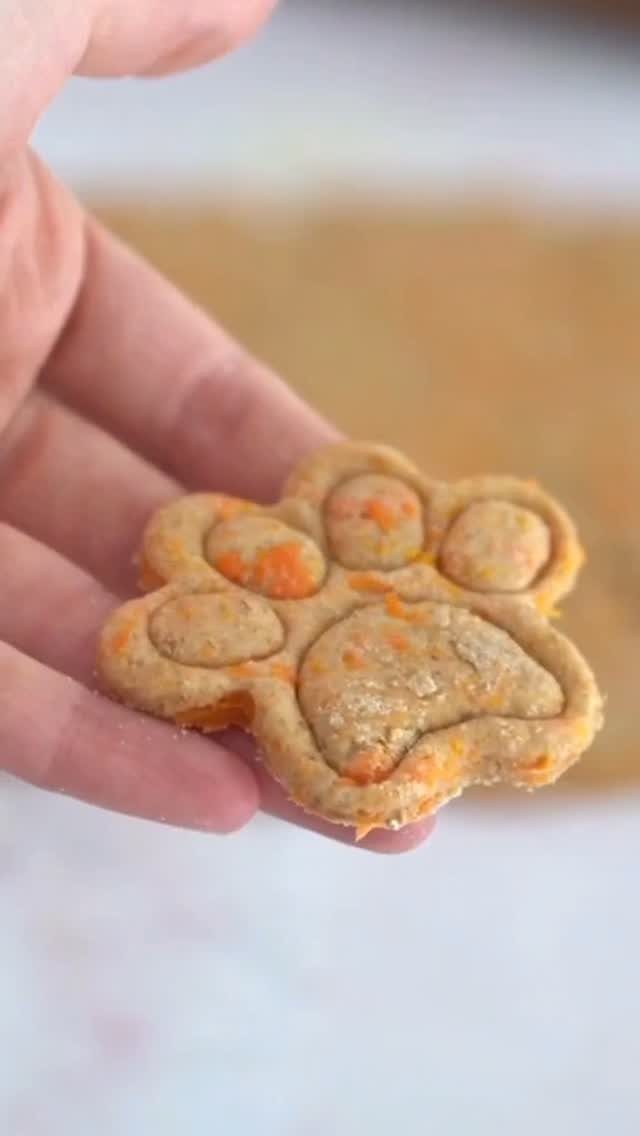 Paw-shaped homemade dog treat with orange carrot bits held in a hand.