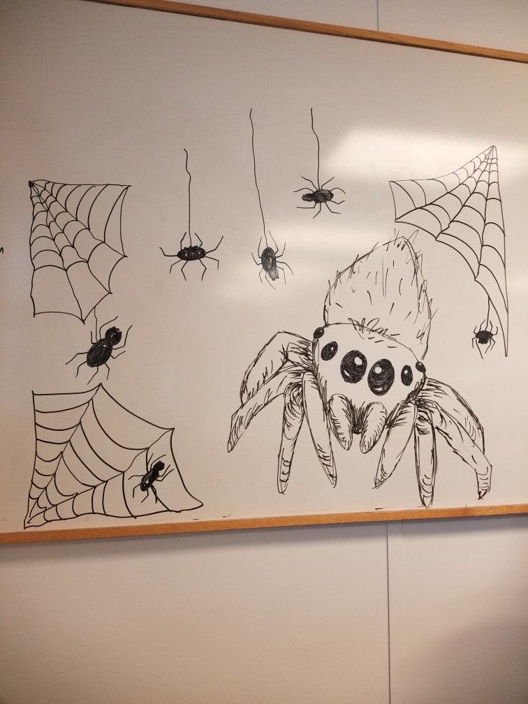 White board featuring black marker drawings of spiders and spiderwebs for October decorations.
