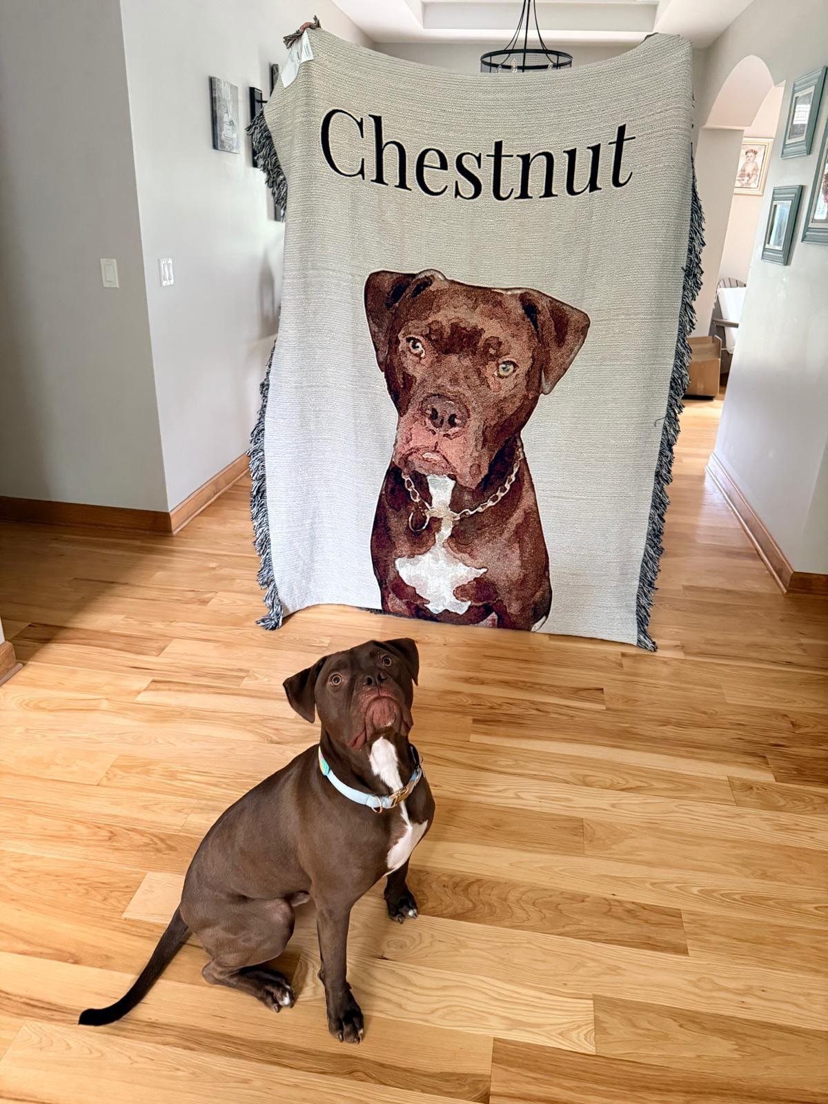 Brown dog sitting in front of a personalized blanket featuring its own portrait.